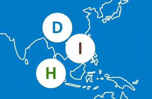 Succesvol internationaal ondernemen: DHI